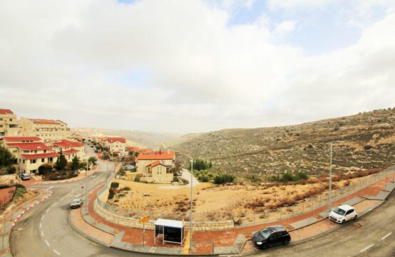 Matityahu Hacohen, Efrat