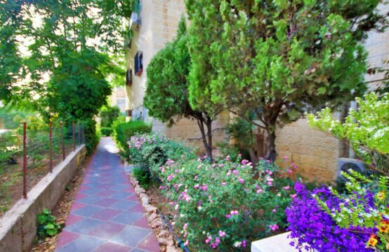 Bnei Batira, San Simon