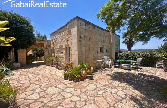 Shaul Barkley, Ein Kerem