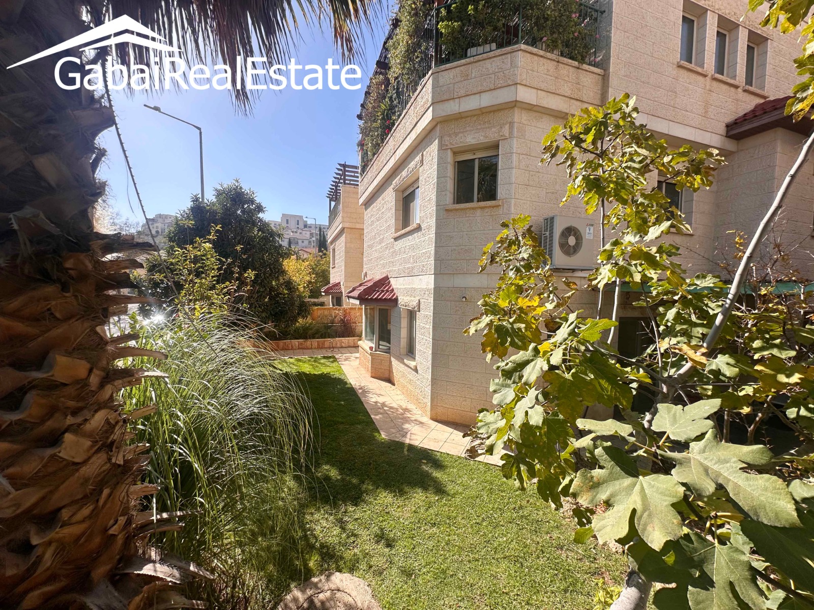 Pitom Haketoret, Zayit