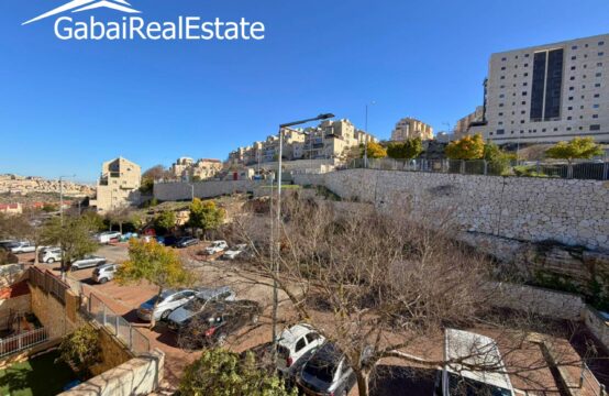 Yehuda Hamacabi, Zayit